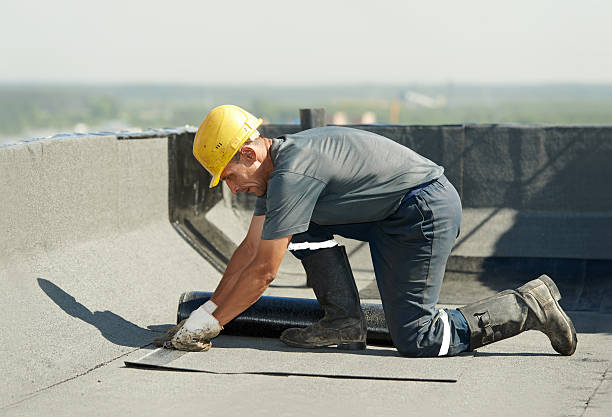 Best Fiberglass Insulation  in Frenchtown, MT
